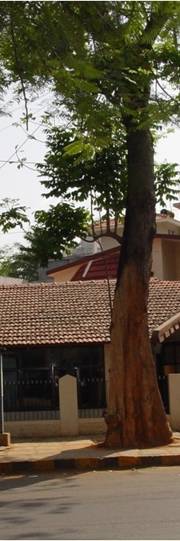 The Fracture & Orthopaedic Clinic